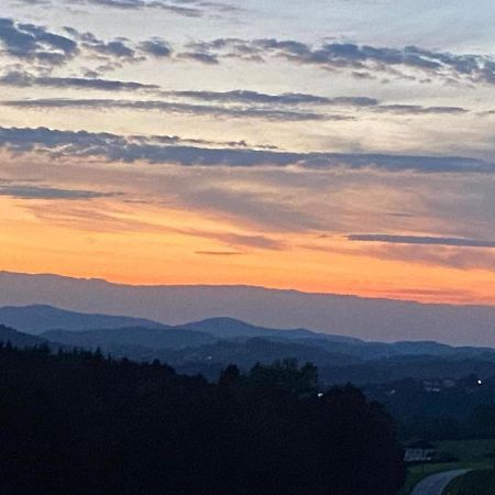 Fh Ausblick Villa Waldkirchen Buitenkant foto