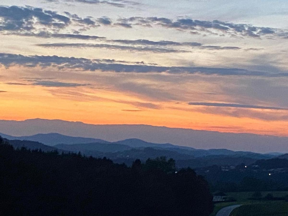 Fh Ausblick Villa Waldkirchen Buitenkant foto