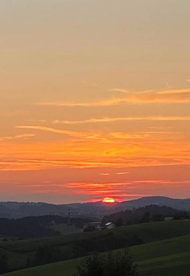 Fh Ausblick Villa Waldkirchen Buitenkant foto
